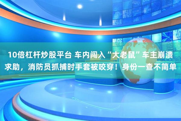 10倍杠杆炒股平台 车内闯入“大老鼠”车主崩溃求助，消防员抓捕时手套被咬穿！身份一查不简单